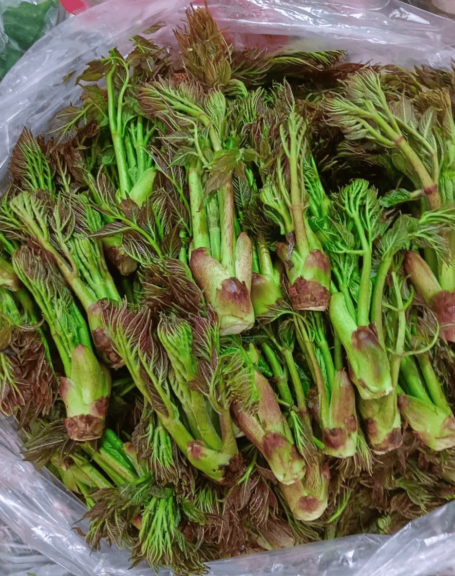 牡丹江赏秋必去!牡丹峰三道关看五花山自驾美食全攻略(图13) 牡丹江赏秋必去!牡丹峰三道关看五花山自驾美食全攻略(图13)