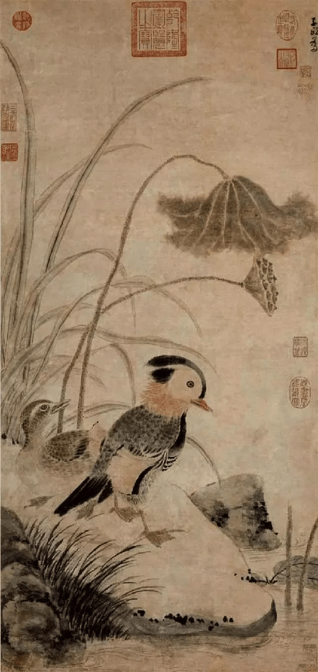 寒露|留得枯荷听雨声