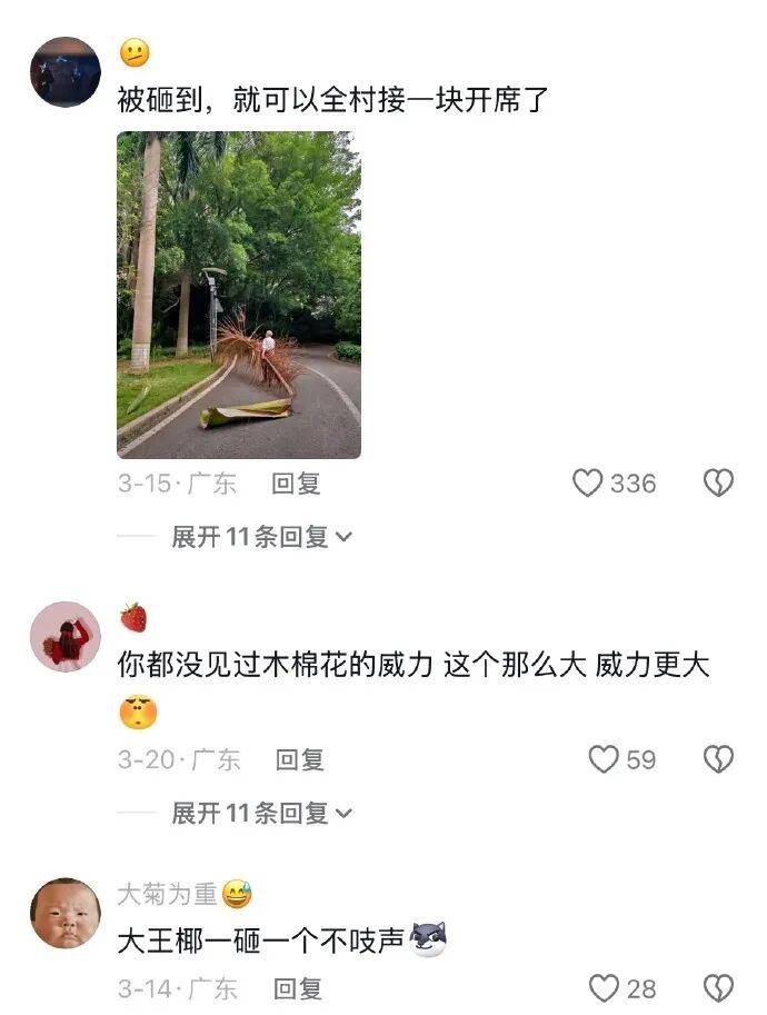 果然南方只有人小，其他什么都大！[11P]
