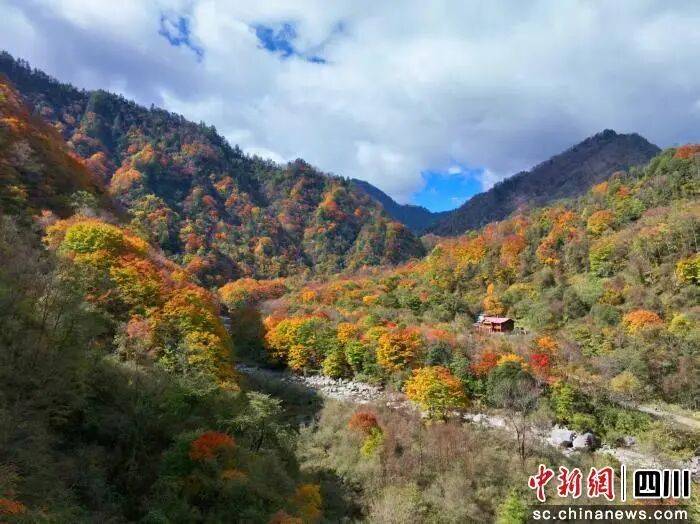 青川唐家河红叶季：三条精品线路揽尽彩林古道野趣_历史_游客_cngy