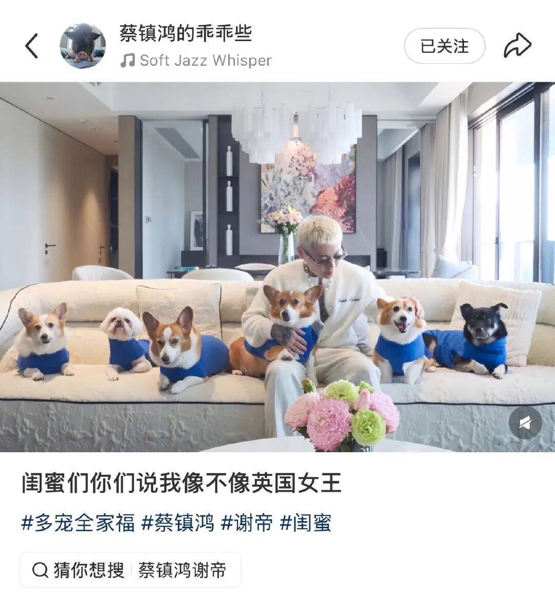 谢帝原来拒绝过这么多综艺!封面图