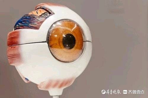 菏泽ICL晶体植入的利与弊：哪些人适合，哪些顾虑是真的