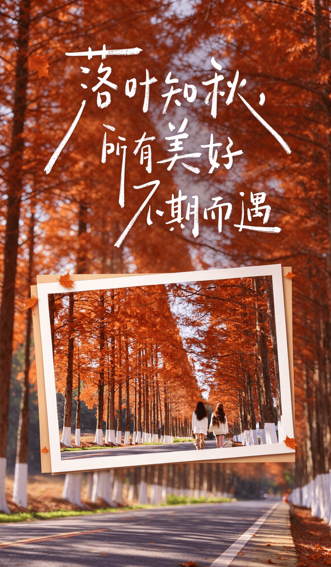秋游大武夷｜建阳秋日美景正在加载中